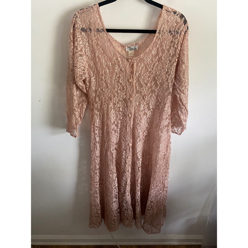 La Chic Vintage Pink Lace Midi Dress Sheer‎ Button Front Rose Buttons USA